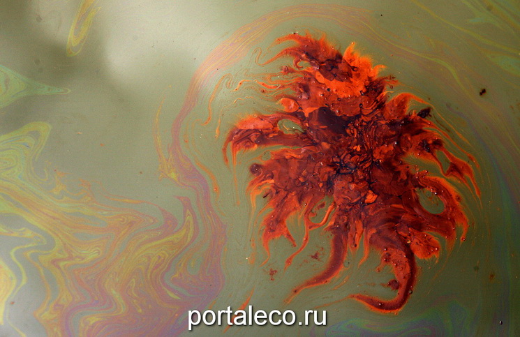 Пятна нефти в водах залива Баратария